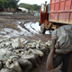 Illustration for article titled Apple, Samsung and Sony Linked to Child Labor Claims in Cobalt Mines